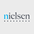 Nielsen Holdings plc icon
