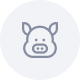 Pork